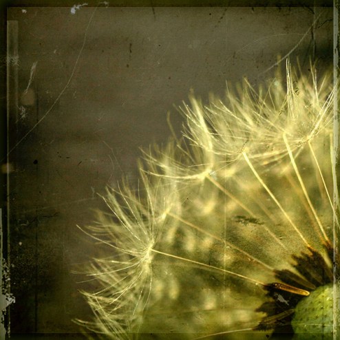 Like a Memory that just Wafted by... wafted