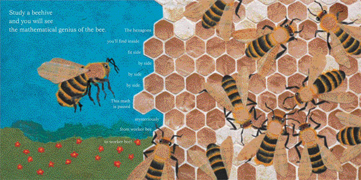 bees-snails-peacock-tails-9781416903864.in01