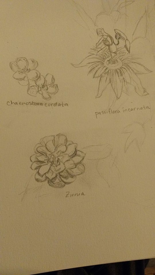 17883548_10100212876206789_1026546583218474412_n